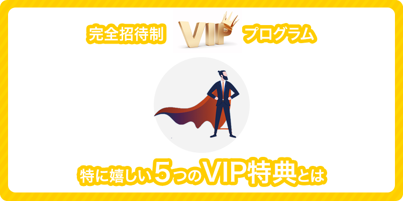 ラッキーニッキーのVIPプログラムのサマリー画像