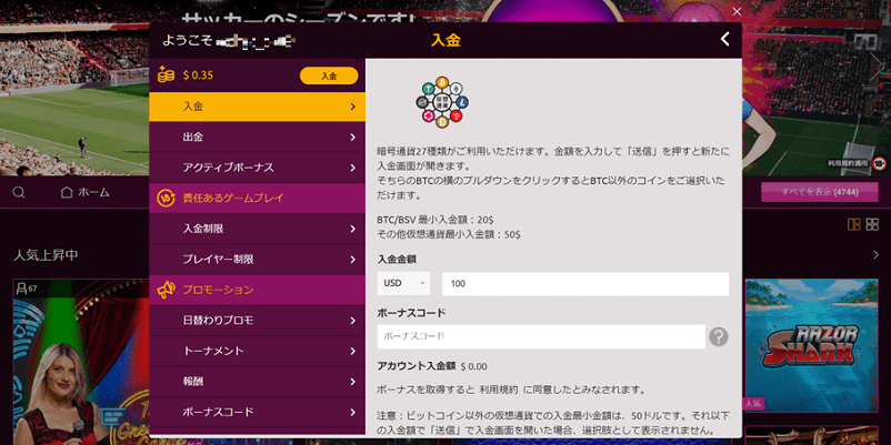 ラッキーニッキーの仮想通貨入金金額入力画面