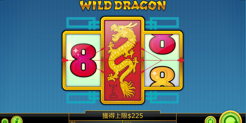 Wild Dragon（ワイルドドラゴン）のイメージ画像